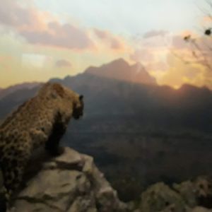 Meet your Posher, Andreia claudia